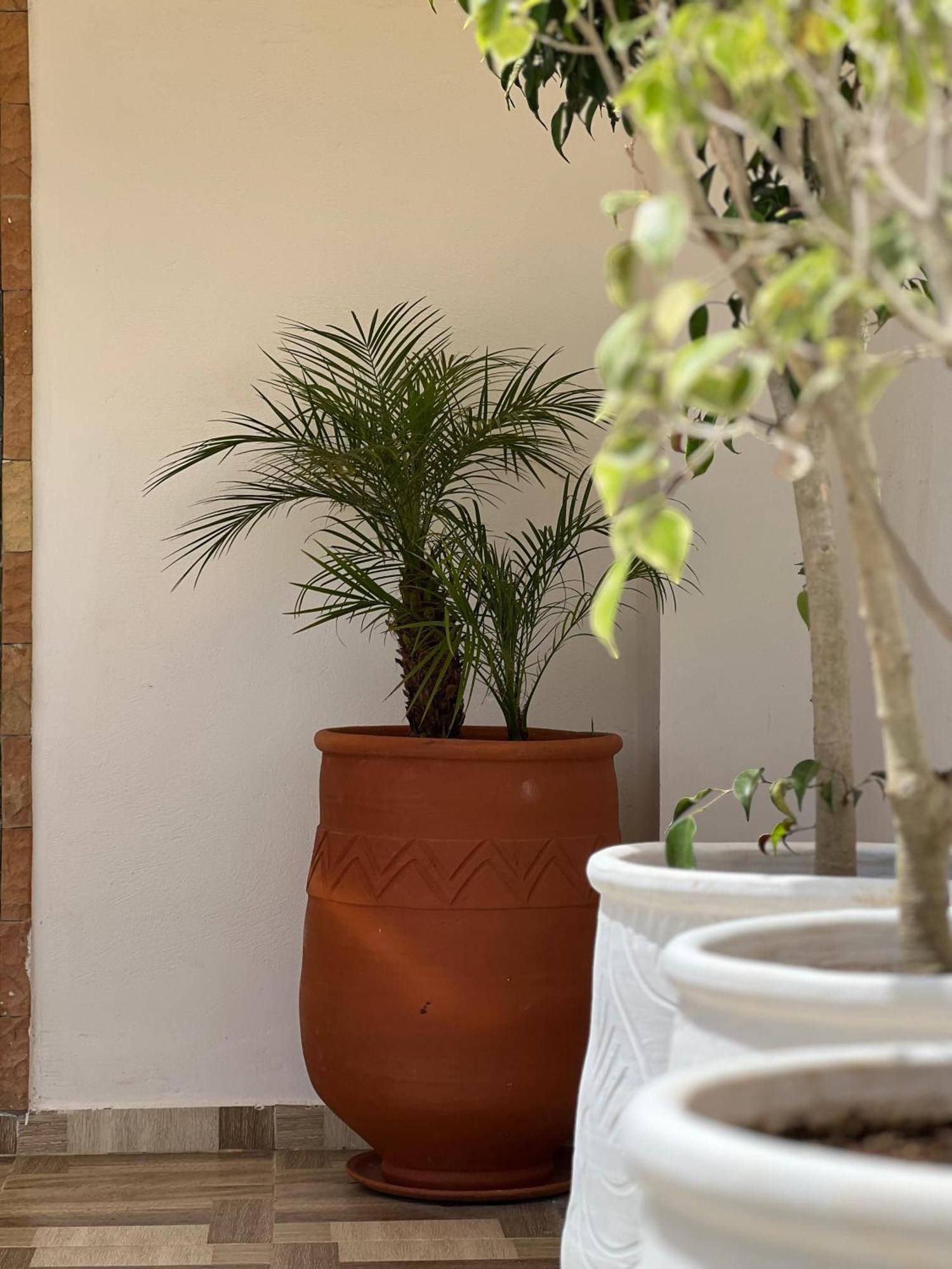 Riad Safia ラバト エクステリア 写真